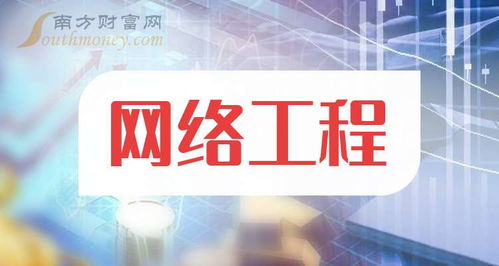 網(wǎng)絡工程行業(yè)概覽 主要企業(yè)類型與代表公司（2025年11月更新）
